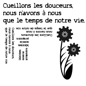 Le jaguar